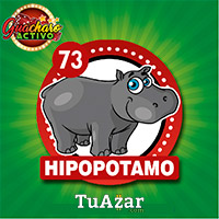 73 HIPOPÓTAMO
