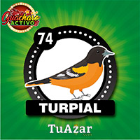 74 TURPIAL