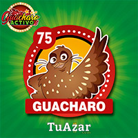 75 GUACHARO