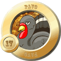 17 PAVO