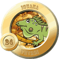 La Granjita — 24 IGUANA