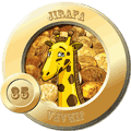 35 JIRAFA