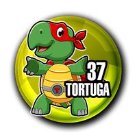 37 TORTUGA