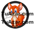 Lotto Activo — 15 ZORRO