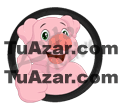20 COCHINO