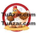 Lotto Activo — 25 GALLINA