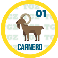 Lotto Gato — 1 CARNERO