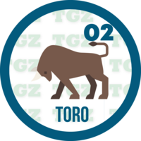 Lotto Gato — 2 TORO