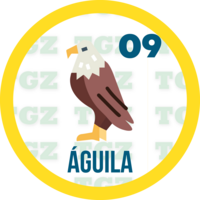 Lotto Gato — 9 AGUILA
