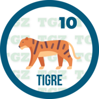 10 TIGRE