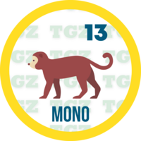Lotto Gato — 13 MONO