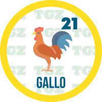 Lotto Gato — 21 GALLO