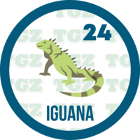 Lotto Gato — 24 IGUANA