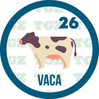 Lotto Gato — 26 VACA
