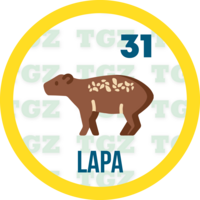 31 LAPA