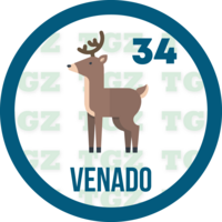 Lotto Gato — 34 VENADO