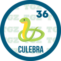 Lotto Gato — 36 CULEBRA