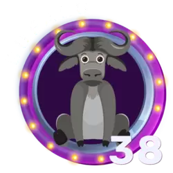 38 BUFALO