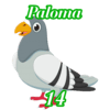 14 PALOMA