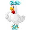 21 GALLO