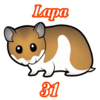 31 LAPA