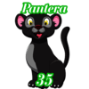 Ruleta Royal — 35 PANTERA