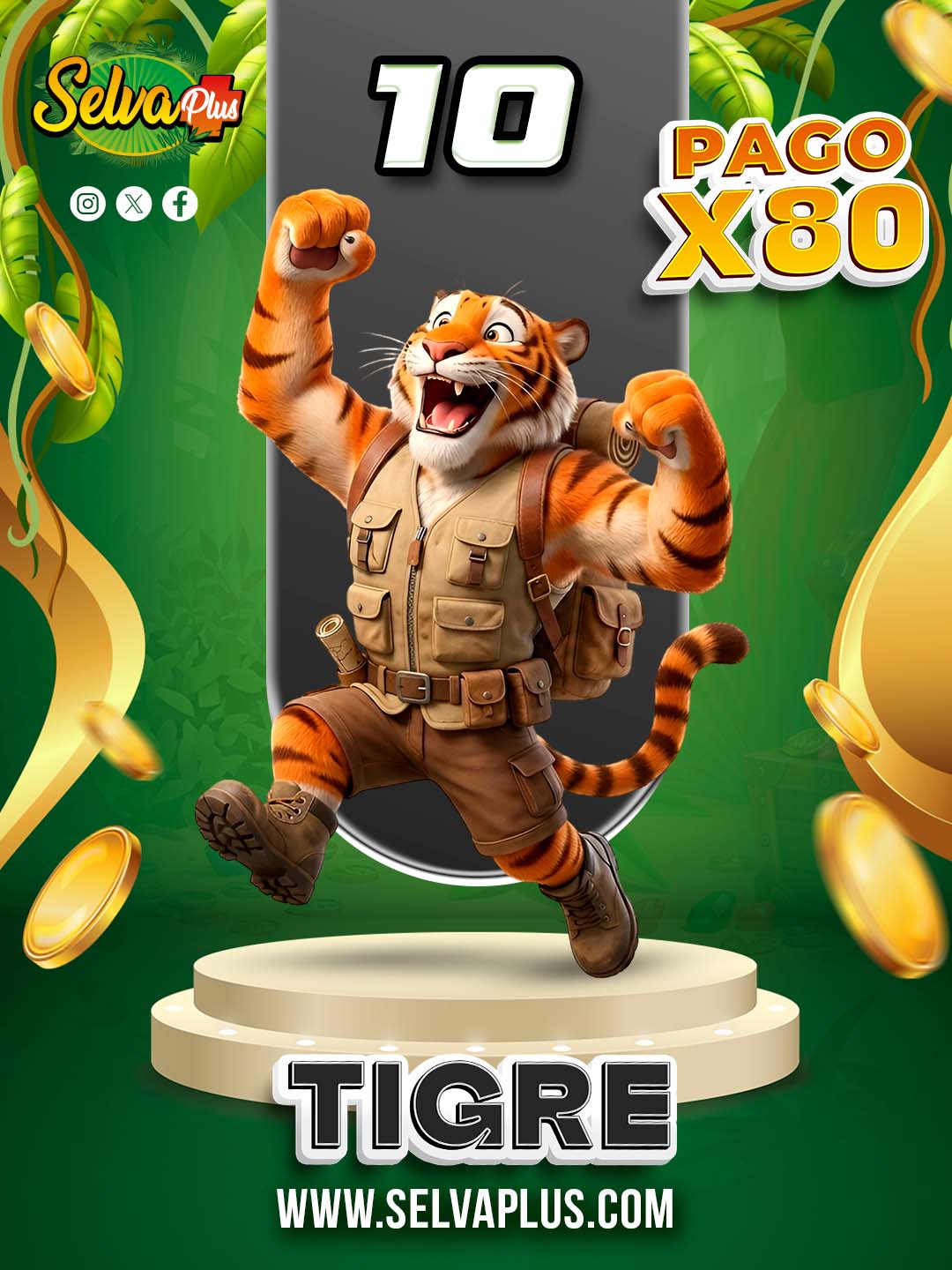 10 TIGRE