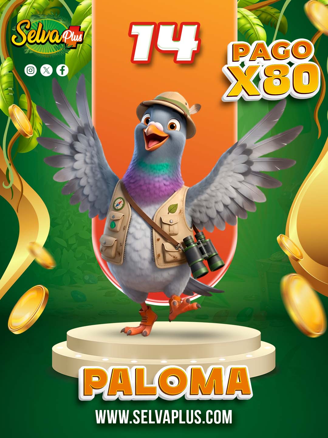 14 PALOMA