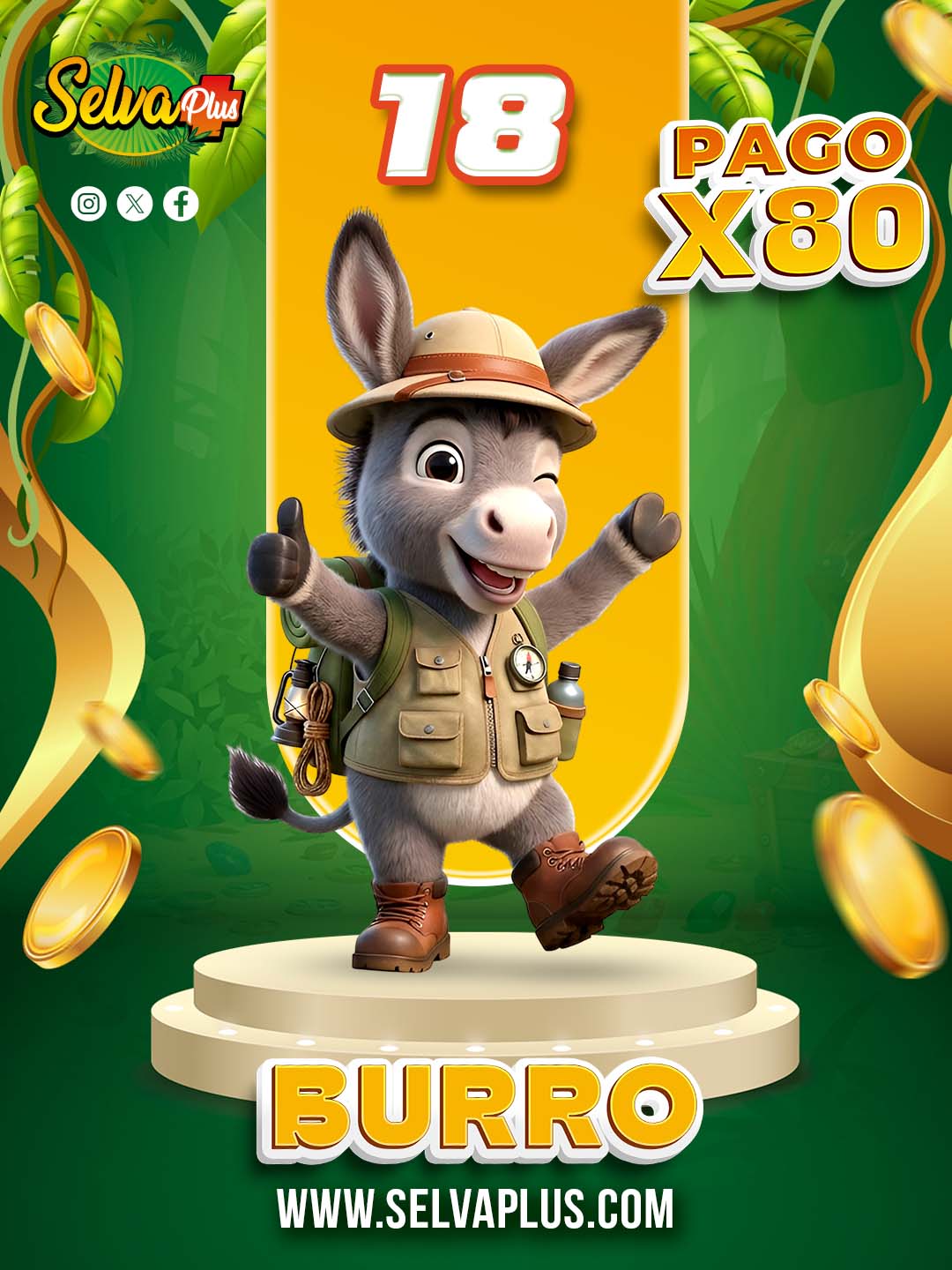 18 BURRO