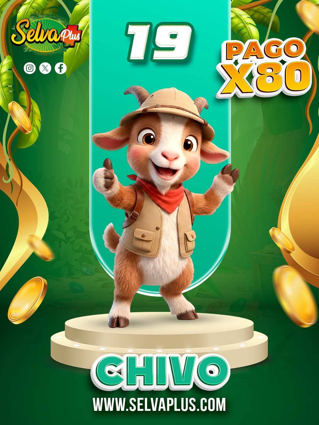 Selva Plus — 19 CHIVO