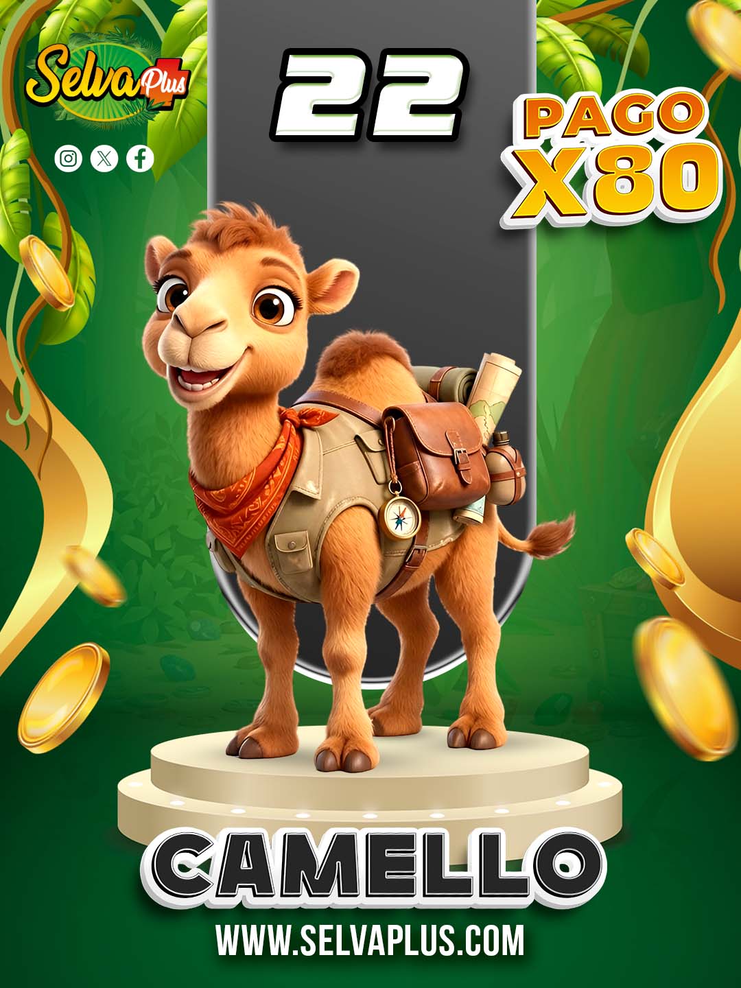 22 CAMELLO
