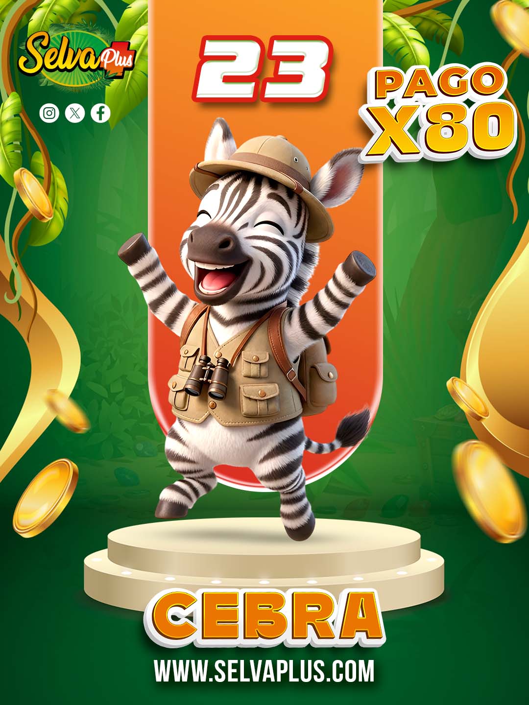 Selva Plus — 23 CEBRA