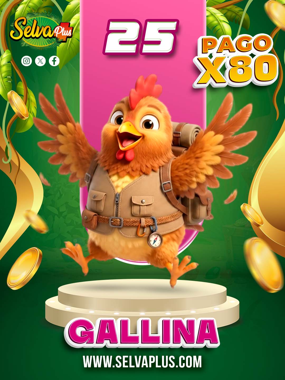 25 GALLINA