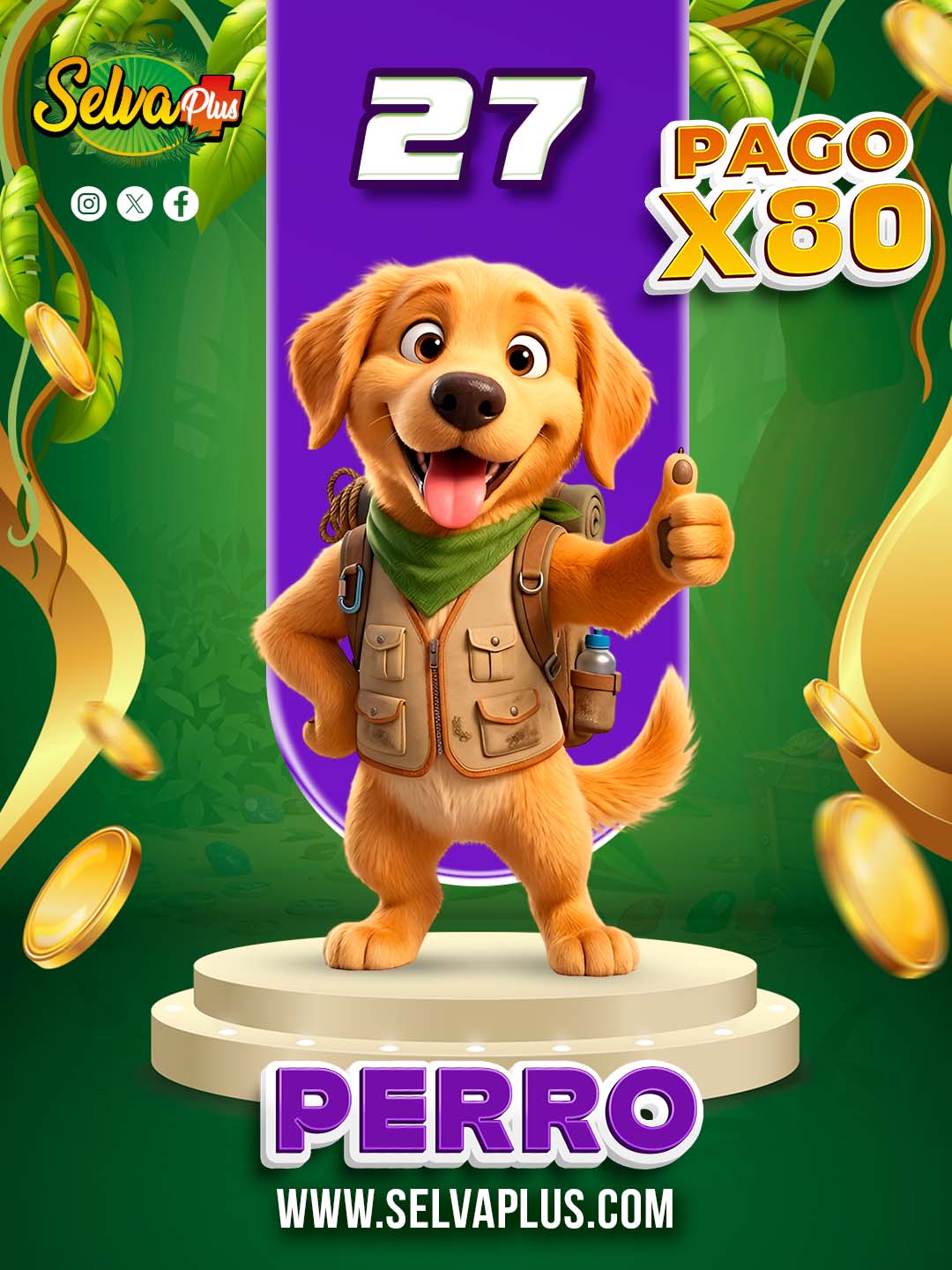 27 PERRO