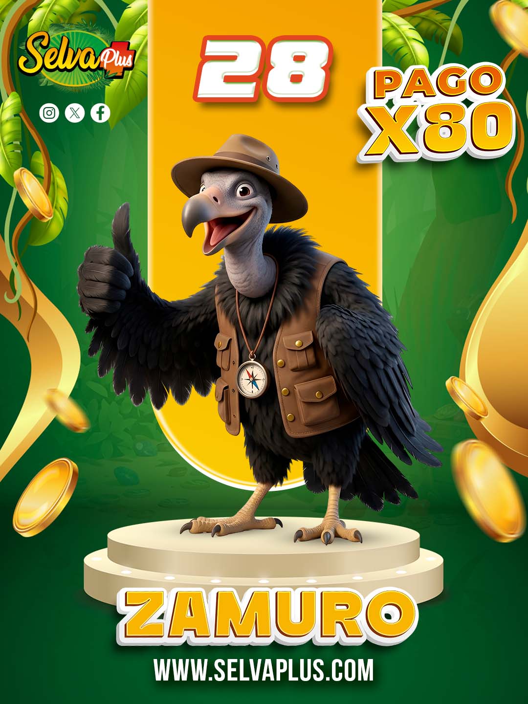 28 ZAMURO