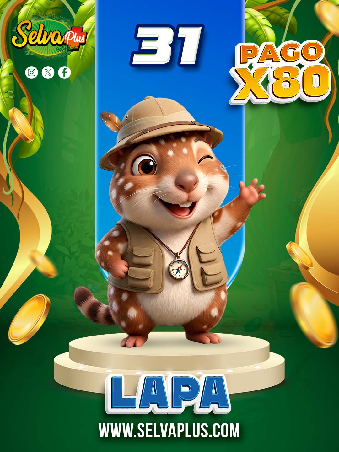 31 LAPA