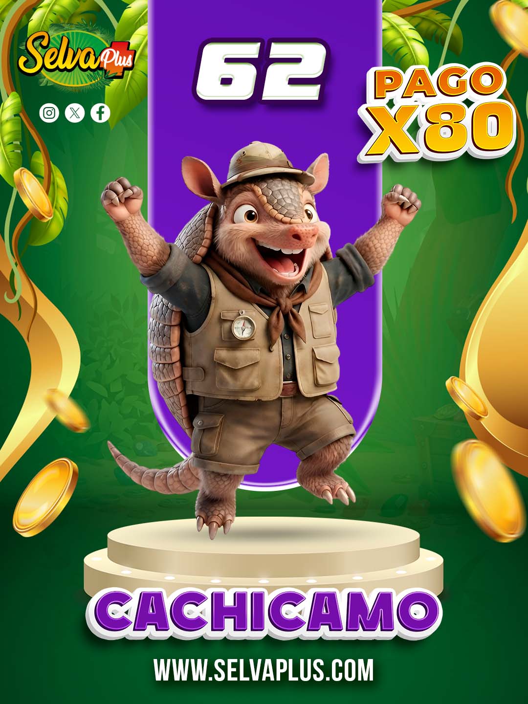 62 CACHICAMO