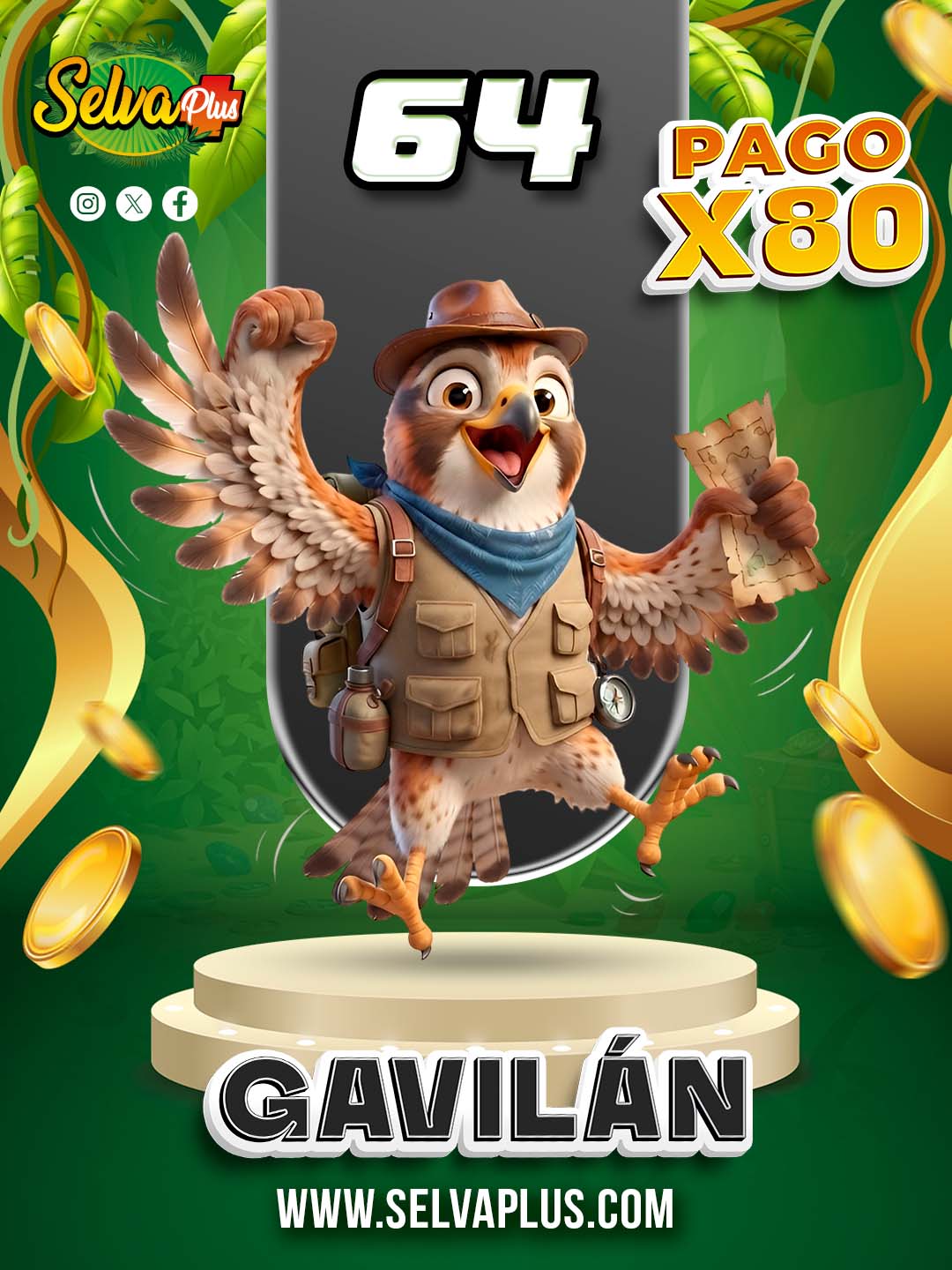 64 GAVILÁN