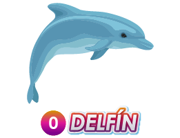 0 DELFIN