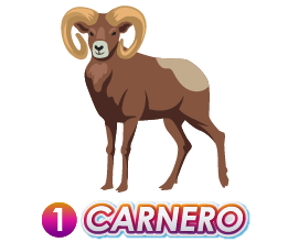 1 CARNERO