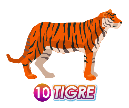 10 TIGRE