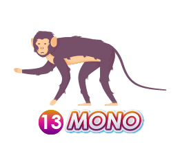 13 MONO