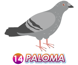 14 PALOMA