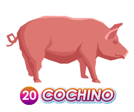 Triple Popular — 20 COCHINO