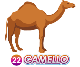 Triple Popular — 22 CAMELLO