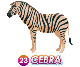 23 CEBRA