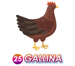 25 GALLINA