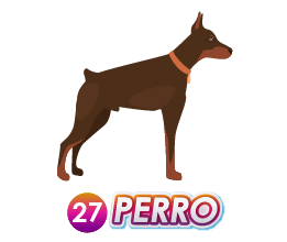 27 PERRO
