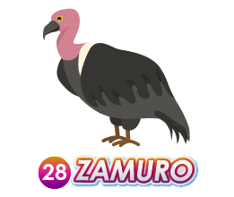 28 ZAMURO