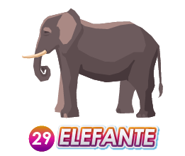 29 ELEFANTE